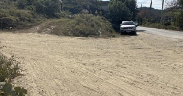 전북특별자치도 군산시 나포면 나포리 산239  임야 경매 물건 이미지