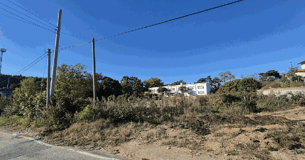 충청남도 서산시 대산읍 오지리 41  교육연구시설 경매 물건 이미지