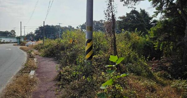 경기도 이천시 부발읍 고백리 218-43  임야 경매 물건 이미지