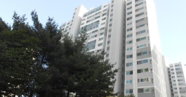 세종특별자치시  조치원읍 신흥리 393 205동 9층905호 아파트 경매 물건 이미지