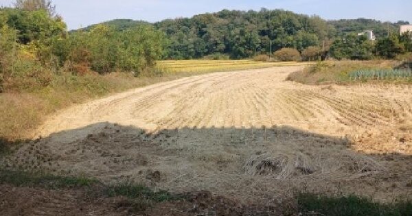 충청남도 당진시 송악읍 중흥리 233-9  목욕시설 경매 물건 이미지