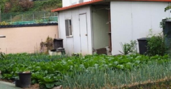 경상남도 창녕군 창녕읍 교하리 256-3  전 경매 물건 이미지