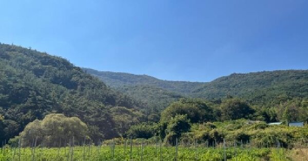 전북특별자치도 부안군 보안면 남포리 산42-1  임야 경매 물건 이미지