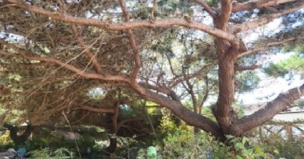 인천광역시 강화군 삼산면 하리 50-31 제4동 근린시설 경매 물건 이미지