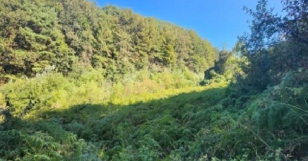 충청북도 영동군 영동읍 임계리 198  전 경매 물건 이미지