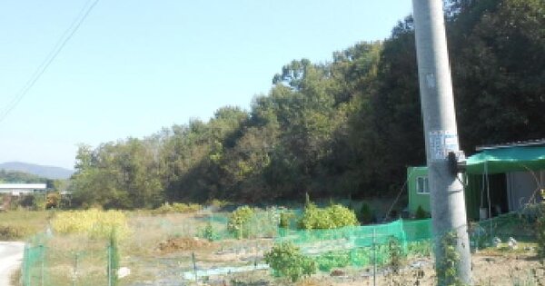 세종특별자치시  연기면 수산리 산29-2  임야 경매 물건 이미지