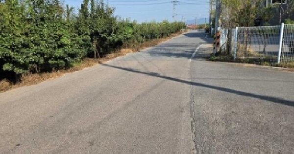 충청남도 아산시 음봉면 의식리 24-3  창고시설 경매 물건 이미지