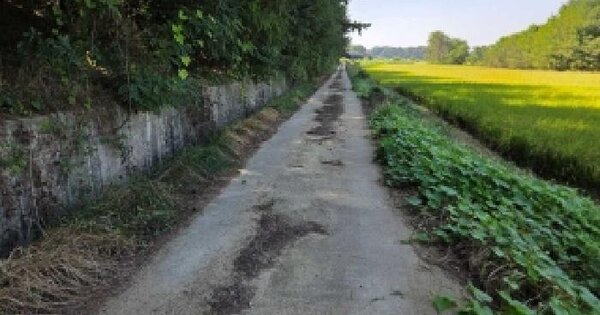 충청남도 아산시 인주면 문방리 217-1  답 경매 물건 이미지