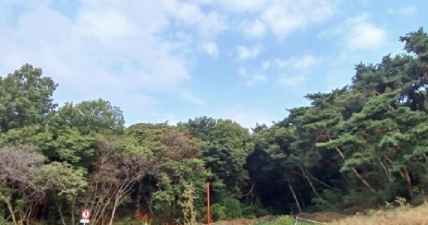 충청남도 당진시 수청동 산92-3  임야 경매 물건 이미지
