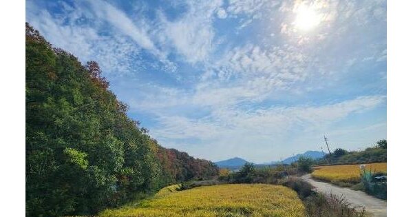 경상북도 영천시 북안면 송포리 118  답 경매 물건 이미지