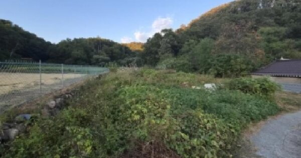 경상북도 포항시 남구 장기면 신계리 132  답 경매 물건 이미지