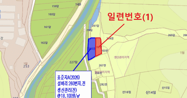 경상남도 진주시 대곡면 설매리 262  전 경매 물건 이미지