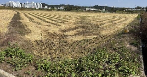 전북특별자치도 군산시 산북동 2751  답 경매 물건 이미지