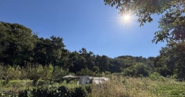 전북특별자치도 군산시 나포면 서포리 산36  임야 경매 물건 이미지