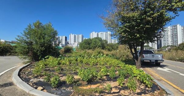 경기도 평택시 팽성읍 안정리 47-50  전 경매 물건 이미지