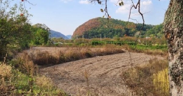 경상북도 영천시 고경면 청정리 450-1  전 경매 물건 이미지