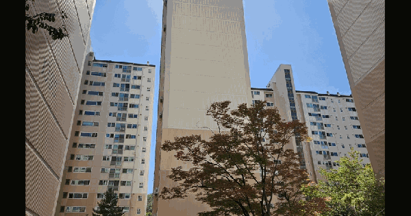 대구광역시 수성구 황금동 365 캐슬골드파크 1304동 2층201호 아파트 경매 물건 이미지