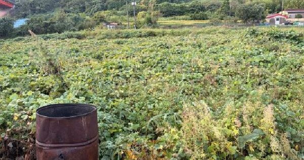경상남도 거제시 장목면 농소리 792  답 경매 물건 이미지