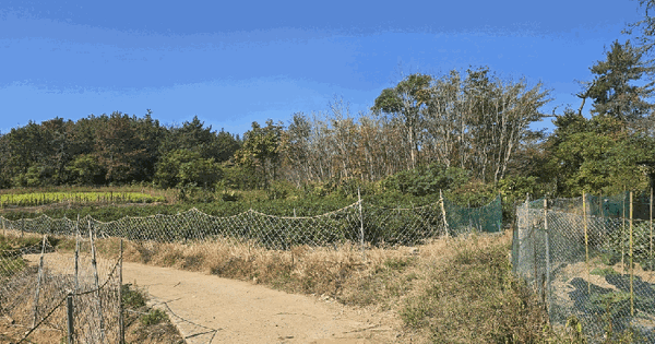 전남광주통합특별시 여수시 소라면 사곡리 1275  전 경매 물건 이미지