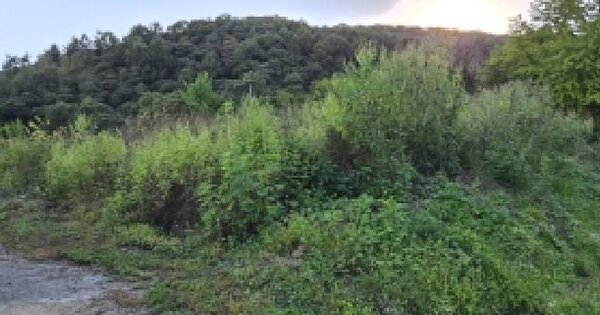경기도 파주시 법원읍 가야리 367  대지 경매 물건 이미지