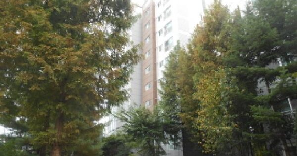 세종특별자치시  조치원읍 죽림리 396 자이아파트 105동 4층402호 아파트 경매 물건 이미지