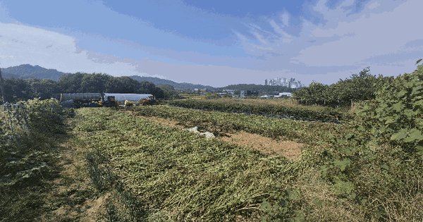충청남도 천안시 동남구 구룡동 425  전 경매 물건 이미지