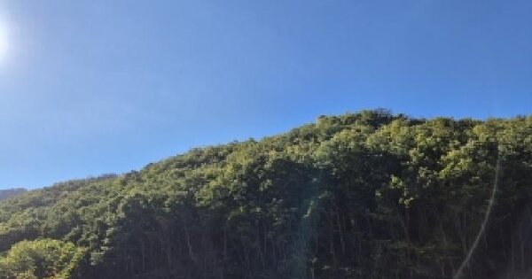 경상북도 청송군 파천면 신흥리 산165  임야 경매 물건 이미지