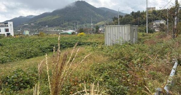 경상남도 거제시 장목면 율천리 5  답 경매 물건 이미지