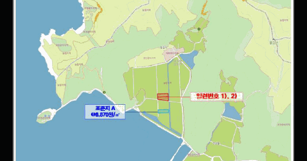 전남광주통합특별시 신안군 임자면 삼두리 1478-16  답 경매 물건 이미지