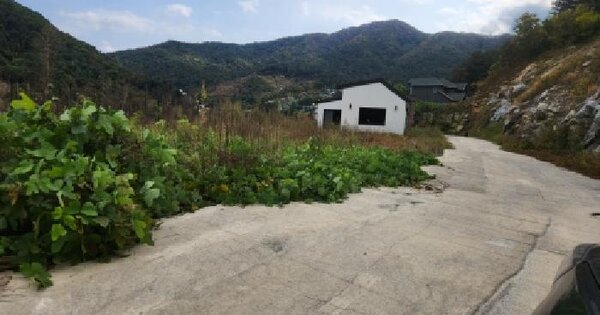 경기도 가평군 상면 임초리 217-3  업무시설 경매 물건 이미지
