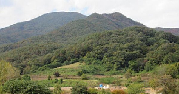 경상북도 문경시 농암면 화산리 산43-1  임야 경매 물건 이미지