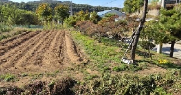 경기도 파주시 광탄면 신산리 329-5  답 경매 물건 이미지
