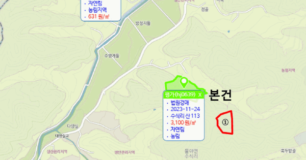 경상북도 봉화군 물야면 수식리 산116  임야 경매 물건 이미지