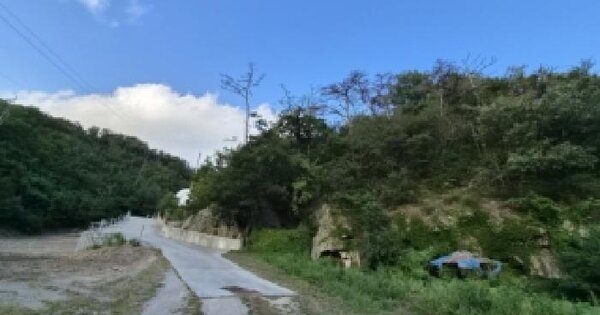 경상북도 포항시 남구 구룡포읍 구룡포리 853-3  도로 경매 물건 이미지