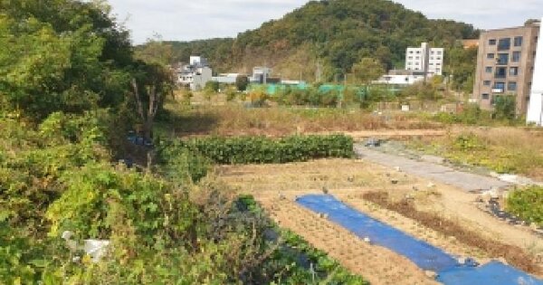 경기도 화성시 만세구 남양읍 남양리 2225-3  미지정 경매 물건 이미지