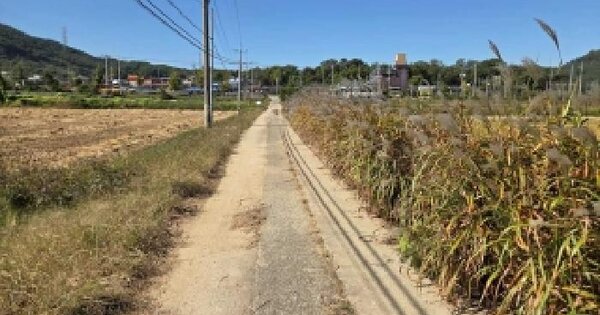 충청남도 아산시 음봉면 원남리 54-2  답 경매 물건 이미지