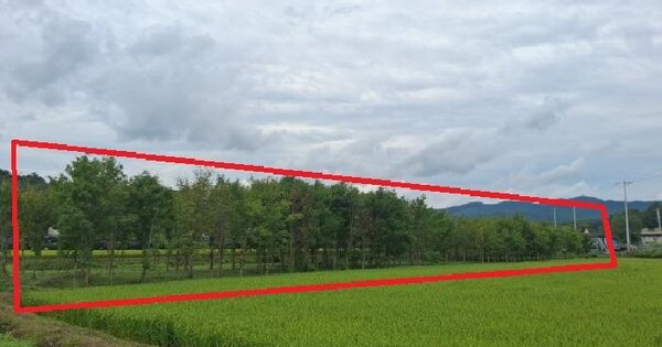 강원특별자치도 춘천시 서면 금산리 1148  답 경매 물건 이미지
