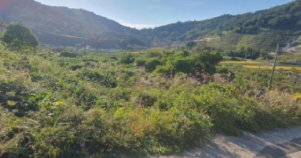 경상남도 김해시 진영읍 내룡리 476  전 경매 물건 이미지