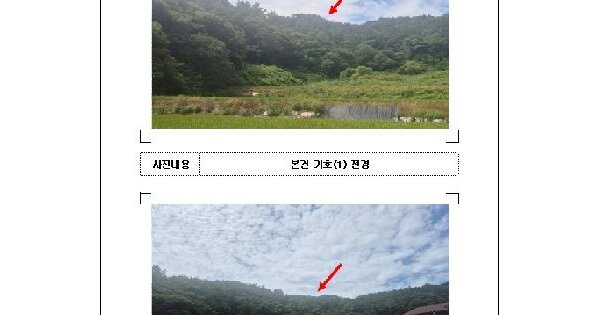 전남광주통합특별시 무안군 몽탄면 이산리 200  답 경매 물건 이미지