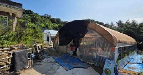 충청남도 예산군 신양면 가지리 490  단독주택 경매 물건 이미지