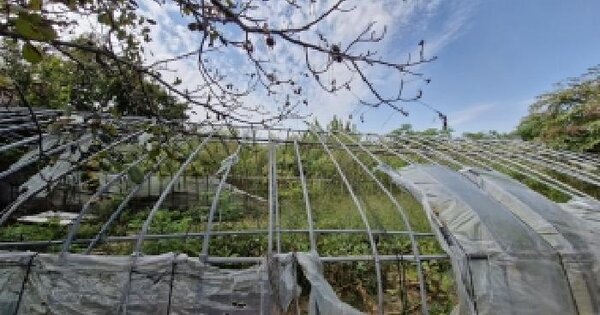 부산광역시 강서구 대저1동 4895-5  답 경매 물건 이미지