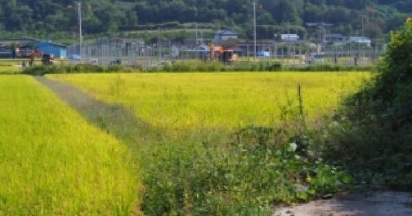 경상남도 밀양시 무안면 연상리 958-6  답 경매 물건 이미지