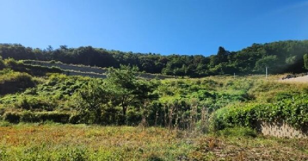 경기도 가평군 설악면 방일리 산90-32  임야 경매 물건 이미지