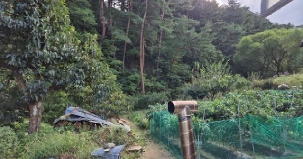 경상북도 울진군 북면 신화리 128  대지 경매 물건 이미지
