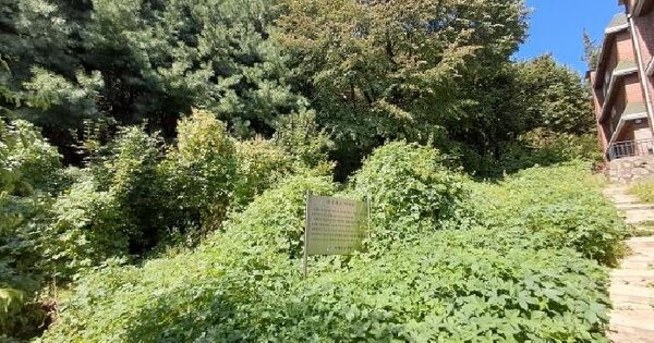 서울특별시 서대문구 연희동 산75-1  임야 경매 물건 이미지