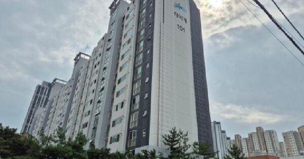 울산광역시 남구 신정동 1241-5 디아채 101동 4층406호 아파트 경매 물건 이미지