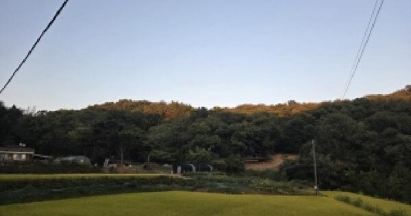 충청남도 공주시 의당면 유계리 산12-1  임야 경매 물건 이미지