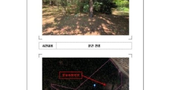 전남광주통합특별시 영암군 삼호읍 삼포리 산77  임야 경매 물건 이미지