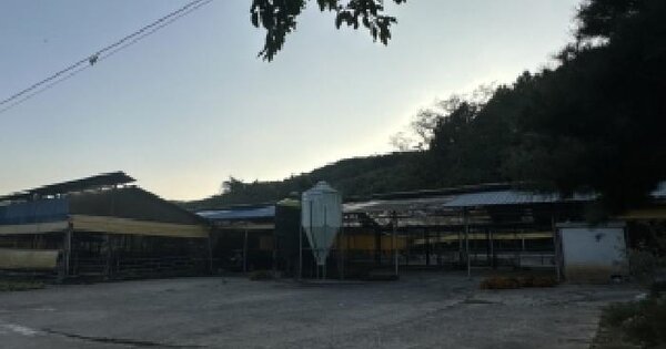 충청북도 진천군 백곡면 갈월리 272  동물 및 식물 관련시설 경매 물건 이미지