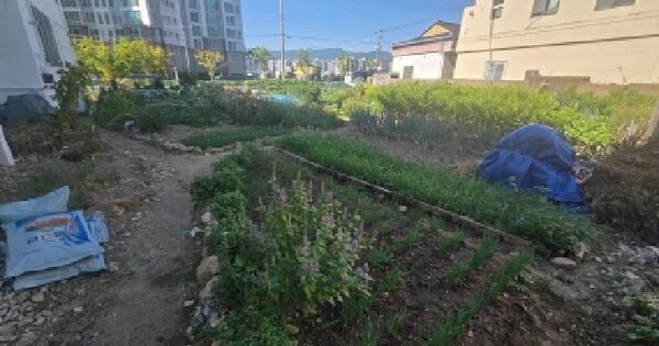 경상남도 양산시 북부동 252-8  전 경매 물건 이미지